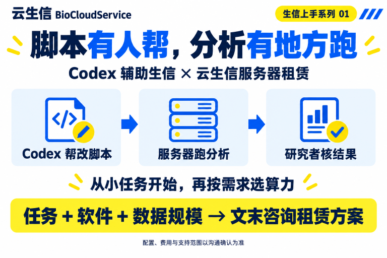 生信脚本总卡壳？试试让 Codex 帮你改，让服务器接着跑：操作要点、服务器租赁价值与咨询方式